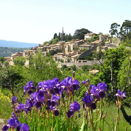 Villas Du Luberon - L'hortensia