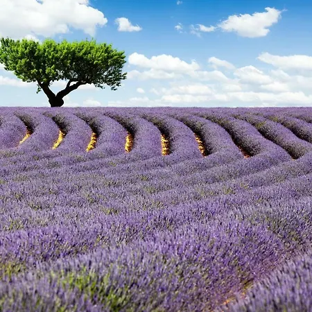 Villas Du Luberon - L'hortensia * Gargas